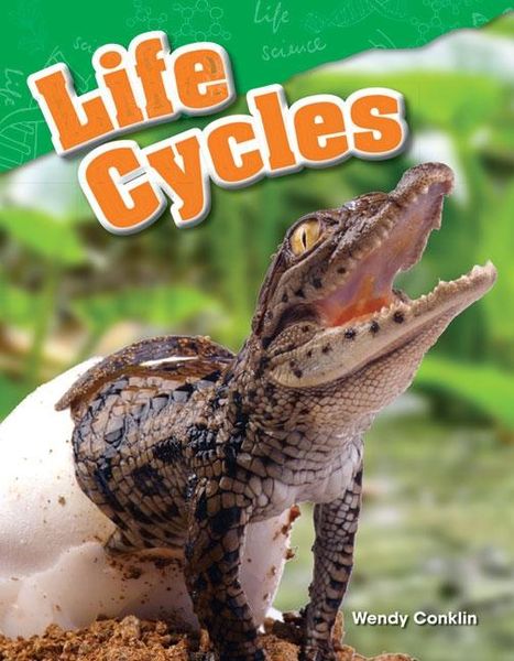 Produktbild: Life Cycles