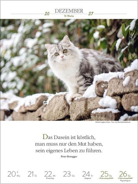Produktbild: Literaturkalender Katzen 2027