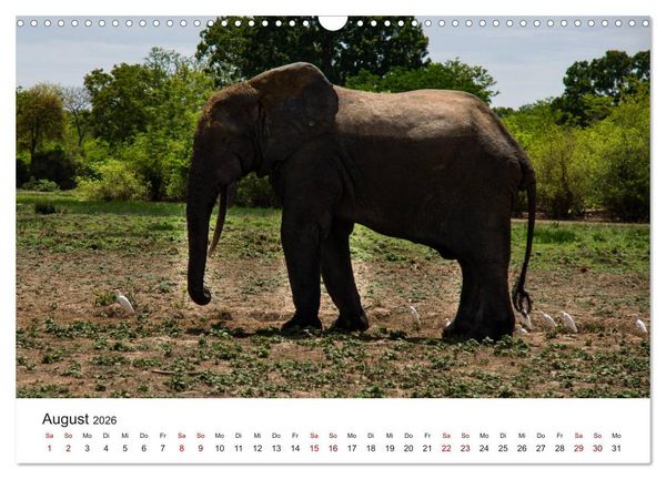 Produktbild: Eine Reise durch Ghana (Wandkalender 2026 DIN A3 quer), CALVENDO Monatskalender