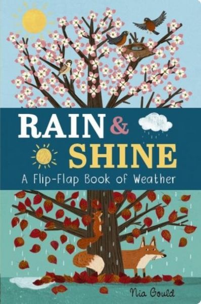 Produktbild: Rain & Shine: A Flip-Flap Book of Weather