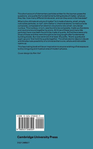 Produktbild: The Quest for Quarks
