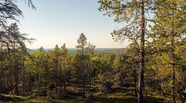 Produktbild: Tics - Mit Tourette nach Lappland