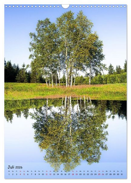 Produktbild: Spiegelb&auml;ume (Wandkalender 2026 DIN A3 hoch), CALVENDO Monatskalender