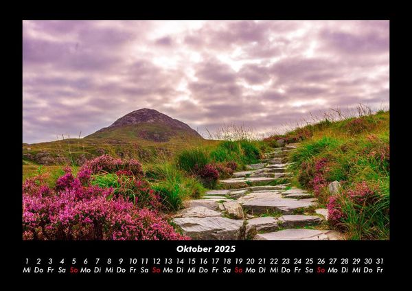 Produktbild: Blumenkalender 2025 Fotokalender DIN A3