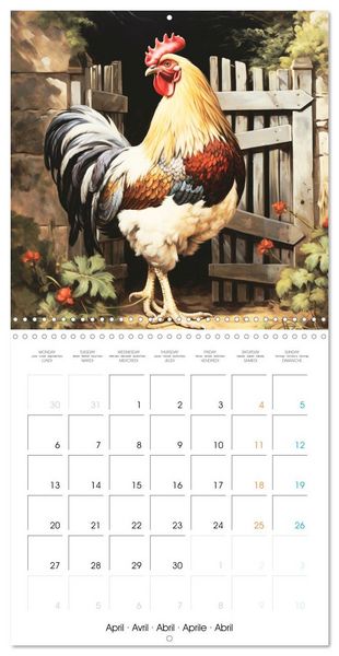 Produktbild: Coqs de nos campagnes (Calendrier mural carr&eacute; 2026 30x30 cm) Calendrier double avec une page pour vos prises de notes