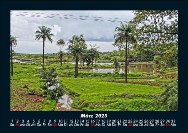 Produktbild: Palmentraum 2025 Fotokalender DIN A5