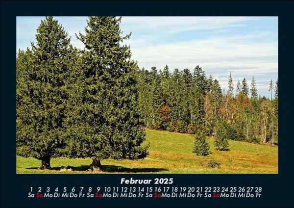 Produktbild: B&auml;ume 2025 Fotokalender DIN A5
