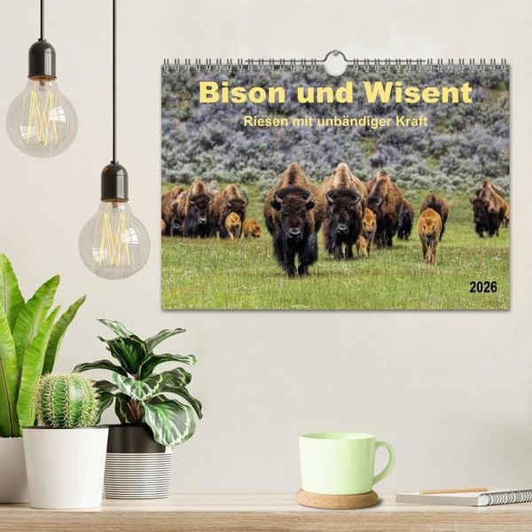 Produktbild: Bison und Wisent - Riesen mit unb&auml;ndiger Kraft (Wandkalender 2026 DIN A4 quer), CALVENDO Monatskalender