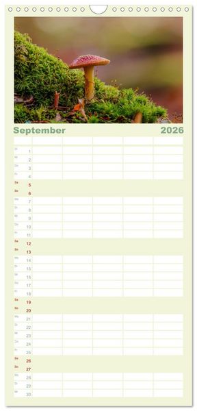 Produktbild: Familienplaner 2026 - Die Welt der Fliegenpilze mit 5 Spalten (Wandkalender, 21 x 45 cm) CALVENDO