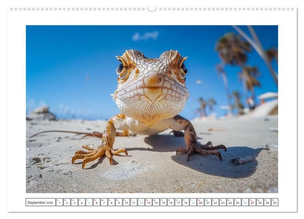 Produktbild: Kleine Echsen haben Spass (Wandkalender 2026 DIN A2 quer), CALVENDO Monatskalender