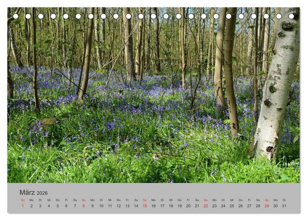 Produktbild: Impressionen von Texel (Tischkalender 2026 DIN A5 quer), CALVENDO Monatskalender