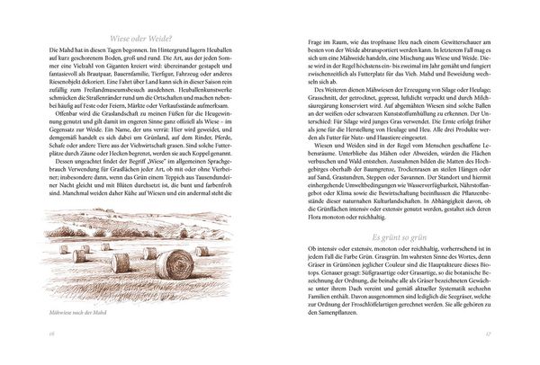 Produktbild: Sommerwiese