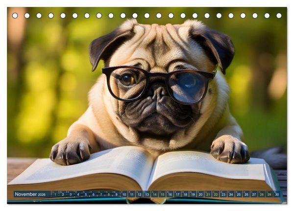 Produktbild: Lustige Mops-Hunde: Die charmanten Meister von Chaos und Unfug (Tischkalender 2026 DIN A5 quer), CALVENDO Monatskalender