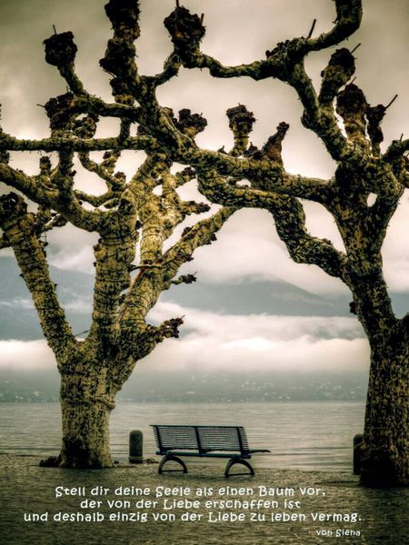 Produktbild: CALVENDO Puzzle Ein Motiv aus dem Kalender Die Liebe und Das Herz | 1000 Teile Lege-Gr&ouml;&szlig;e 64x48cm Foto-Puzzle f&uuml;r gl&uuml;ckliche Stunden