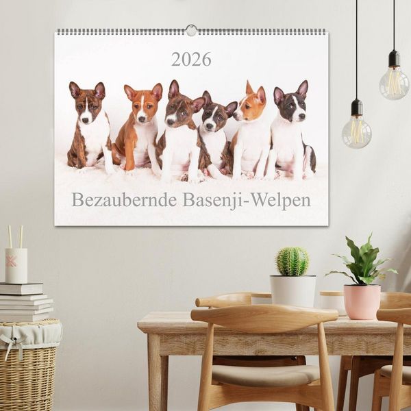 Produktbild: Bezaubernde Basenji-Welpen (Wandkalender 2026 DIN A2 quer), CALVENDO Monatskalender