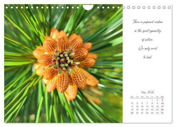 Produktbild: Golden breaks with mindfulness (Wall Calendar 2026 DIN A4 landscape), CALVENDO 12 Month Wall Calendar