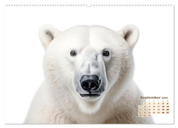 Produktbild: Wei&szlig;e Tierwelt (Wandkalender 2026 DIN A2 quer), CALVENDO Monatskalender