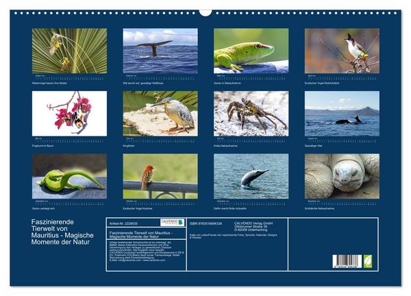 Produktbild: Faszinierende Tierwelt von Mauritius - Magische Momente der Natur (Wandkalender 2026 DIN A2 quer), CALVENDO Monatskalender