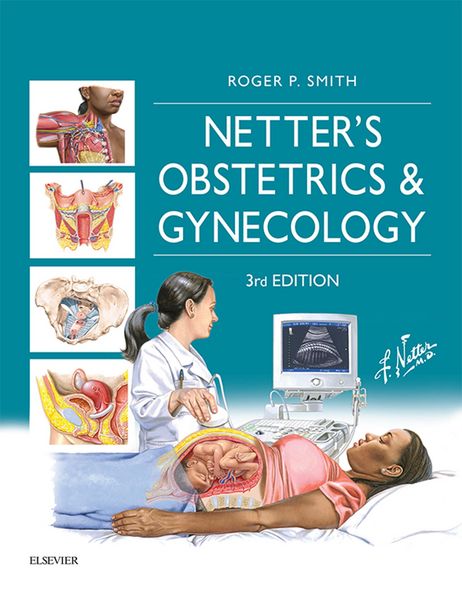 Produktbild: Netter's Obstetrics and Gynecology E-Book