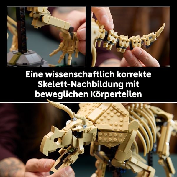 Produktbild: LEGO Jurassic World 77985 Dinosaurier-Fossilien: Triceratops, Modellbau