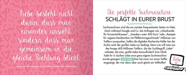 Produktbild: Liebe für Einsteiger