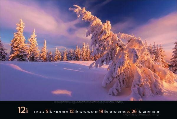 Produktbild: Magische W&auml;lder 2027