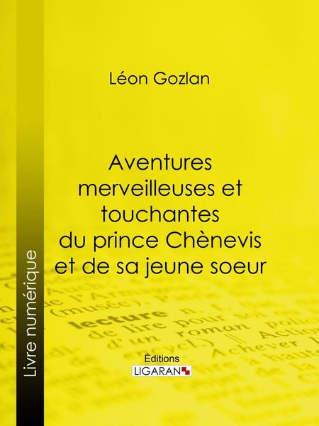 Produktbild: Aventures merveilleuses et touchantes du prince Ch&egrave;nevis et de sa jeune soeur