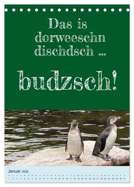 Produktbild: Ni schw&auml;bborn! Mundart und Dialekt Kalender Sachsen (Tischkalender 2026 DIN A5 hoch), CALVENDO Monatskalender