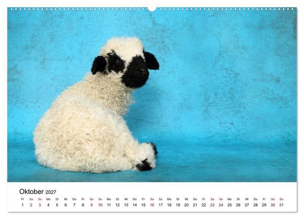 Produktbild: Walliser Schwarznasenschaf Valais Blacknose Sheep (Wandkalender 2027 DIN A2 quer), CALVENDO Monatskalender