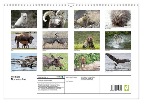 Produktbild: Wildtiere Nordamerikas (Wandkalender 2026 DIN A3 quer), CALVENDO Monatskalender