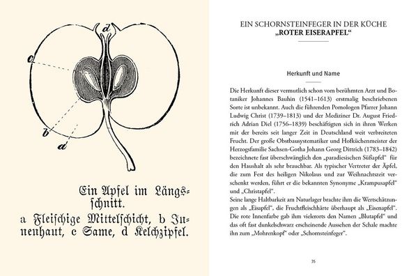 Produktbild: Das gro&szlig;e kleine Buch: Alte Obstsorten in der K&uuml;che