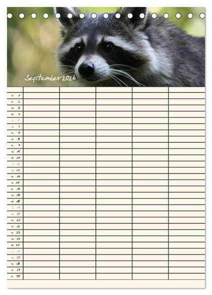 Produktbild: Waschb&auml;ren Familienplaner (Tischkalender 2026 DIN A5 hoch), CALVENDO Monatskalender