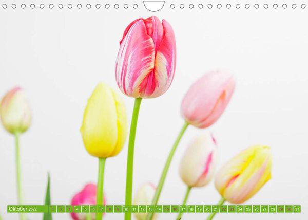 Produktbild: Tulpen f&uuml;r das ganze Jahr (Wandkalender 2022 DIN A4 quer)