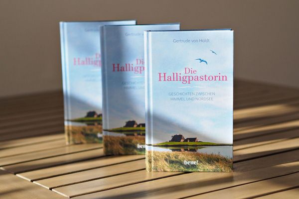 Produktbild: Die Halligpastorin