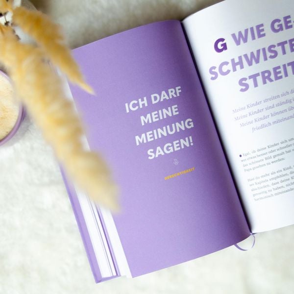 Mein Kind macht, was es will! Das Handbuch für einen Familienalltag ohne Machtkämpfe – Von A wie Anziehen bis Z wie Zähneputzen