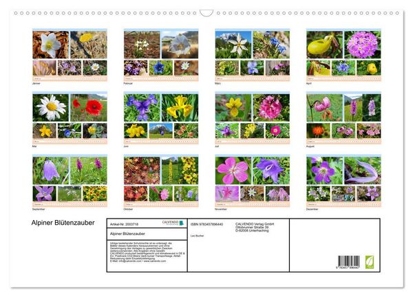 Produktbild: Alpiner Bl&uuml;tenzauber (Wandkalender 2026 DIN A2 quer), CALVENDO Monatskalender