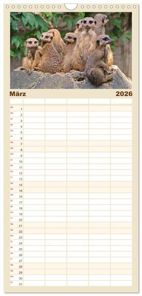 Produktbild: Familienplaner 2026 - Erdm&auml;nnchen mit 5 Spalten (Wandkalender, 21 x 45 cm) CALVENDO