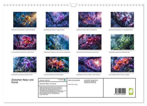 Produktbild: Zwischen Natur und Kunst (Wandkalender 2026 DIN A3 quer), CALVENDO Monatskalender
