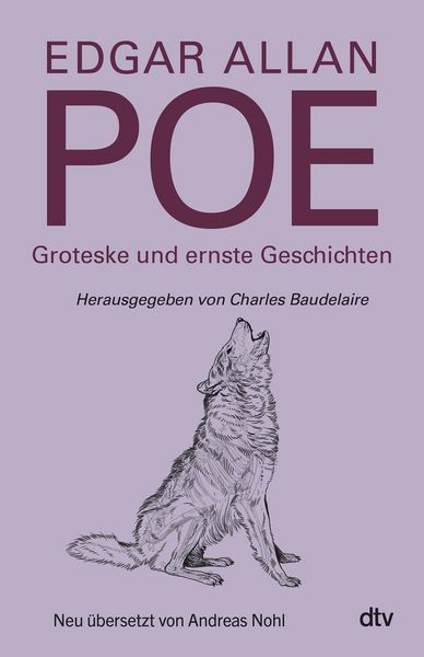 Produktbild: Groteske und ernste Geschichten