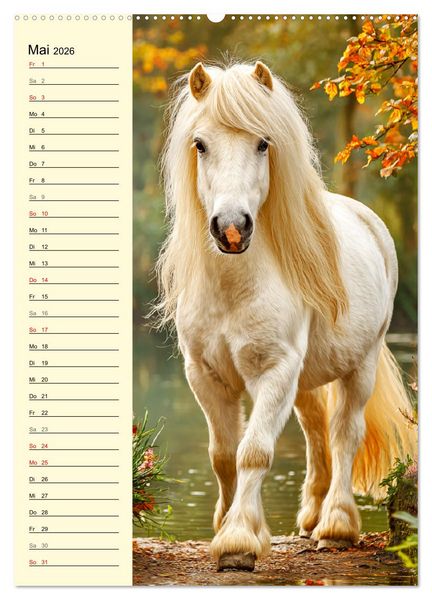 Produktbild: Zauber der Ponys. Kleine Pferde in der Natur (hochwertiger Premium Wandkalender 2026 DIN A2 hoch), Kunstdruck in Hochglanz