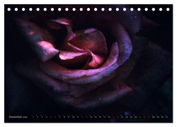 Produktbild: Gothic Rose - Rosen aus dem Garten der Finsternis (Tischkalender 2026 DIN A5 quer), CALVENDO Monatskalender