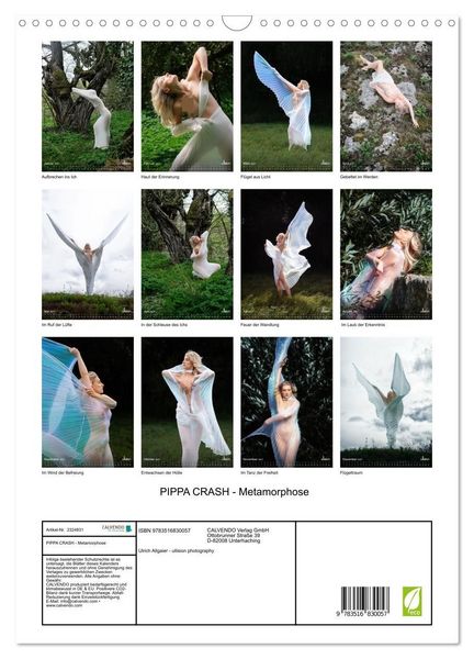 Produktbild: PIPPA CRASH - Metamorphose (Wandkalender 2027 DIN A3 hoch), CALVENDO Monatskalender