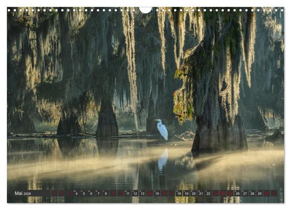Produktbild: Natur Paradies Mississippi Delta (Wandkalender 2026 DIN A3 quer), CALVENDO Monatskalender