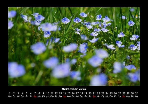 Produktbild: Pflanzen und Bl&uuml;ten 2025 Fotokalender DIN A3