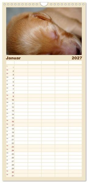 Produktbild: Familienplaner 2027 - Hovawart - nat&uuml;rlich blond mit 5 Spalten (Wandkalender, 21 x 45 cm) CALVENDO