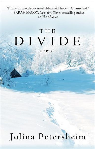 Produktbild: Divide -Lp