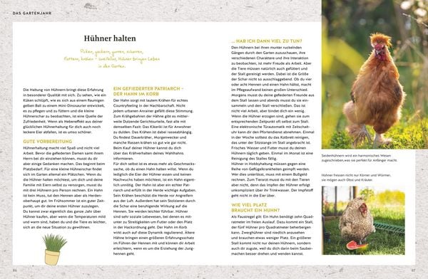 Produktbild: 365 Tage Selbstversorgung