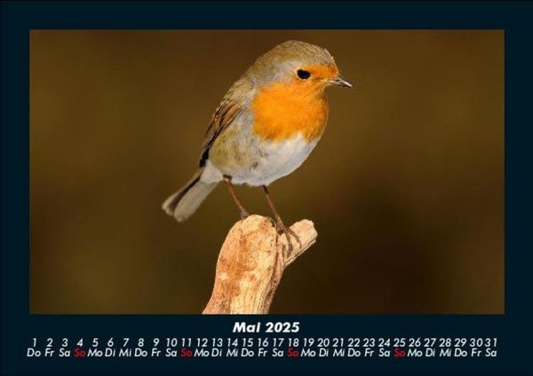 Produktbild: Bilder aus der Natur 2025 Fotokalender DIN A5