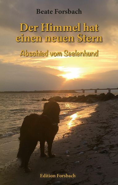 Produktbild: Der Himmel hat einen neuen Stern
