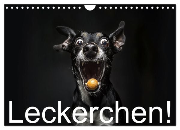 Produktbild: Leckerchen! (Wandkalender 2026 DIN A4 quer), CALVENDO Monatskalender